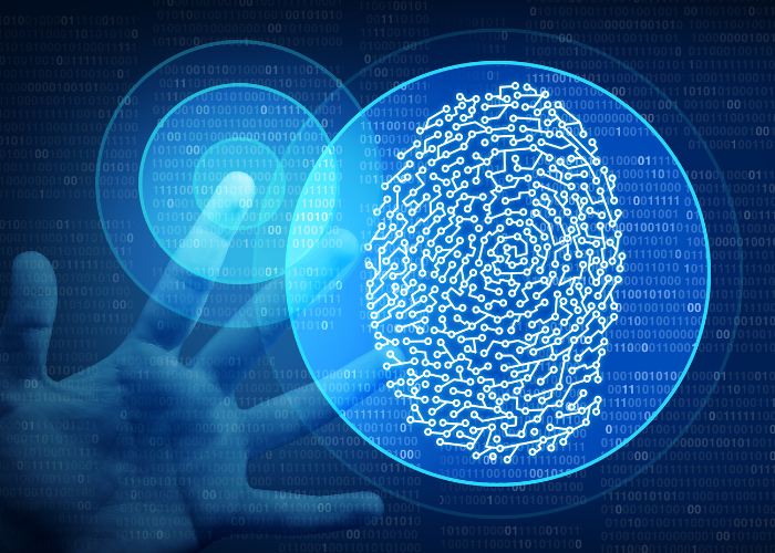 biometria, cyberbezpieczeństwo